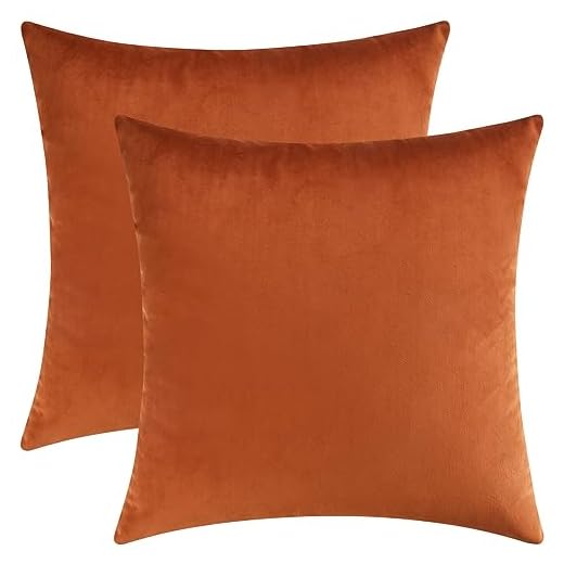 25+ Dark Boho Living Room Decor Ideas with 15 Essential Items 4 Mixhug Set of 2 Cozy Velvet Square Decorative Throw Pillow Covers for Couch and Bed, Burnt Orange, 18 x 18 Inches