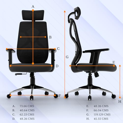 Image of Titan Ergonomic Office Chair for Home & Office | Adjustable Armrests | 120 Recline | Lumbar Support | Thick Cushioned Seat | Heavy-Duty Base | 3 Years Warranty (Black)