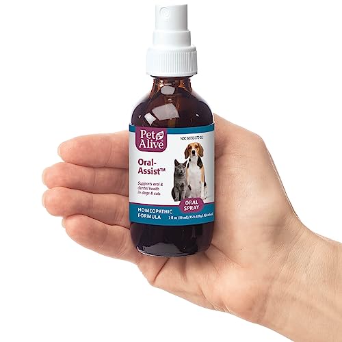 PetAlive Oral-Assist – Natural Homeopathic Formula Supports Oral and Dental Health in Dogs and Cats – Supports Healthy Teeth and Gums in Pets – 59 mL PetAlive Oral-Assist – Natural Homeopathic Formula Supports Oral and Dental Health in Dogs and Cats – Supports Healthy Teeth and Gums in Pets – 59 mL
