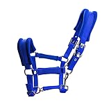 accesorios prácticos para ayudarlo a controlar y restringir a su caballo con facilidad.