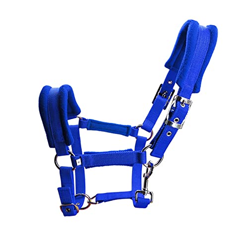 DFERTG Cabezada para Caballos, Brida De Correa Gruesa De 25 Mm,cabezadas De Cuadra para Caballos,Caballos Accesorios,equitacion Caballo Accesorios,hipica(Size:S,Color:Azul) Cover