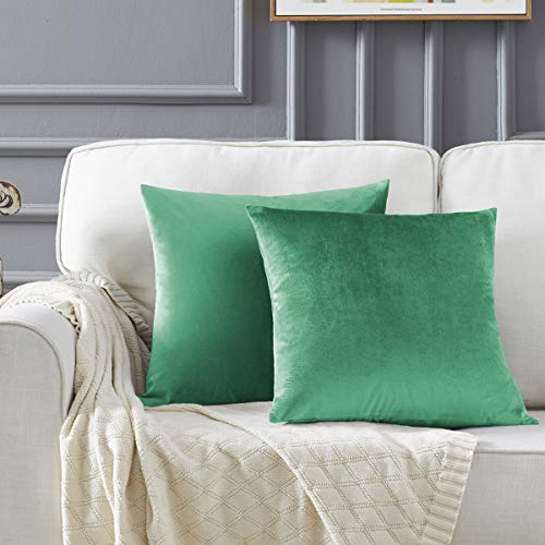 Image of GIGIZAZA Decorative Couch Throw Pillow Covers,Teal Square Pillow Cushion Covers 22x22,Pillow Cases Velvet Pillow Covers