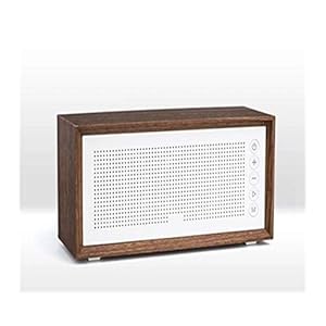 Radio Vintage houten subwoofer Wireless Bluetooth Speaker Outdoor draagbare Card Speaker 20W MP3 Subwoofer Ondersteunt High Power FM-radio
