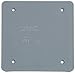 Thomas & Betts E9802CN-CAR Polycarbonate 2-Gang Weatherproof Non-Metallic Box Cover 4.85 Inch x 4.85 Inch x 0.25 Inch Carlon