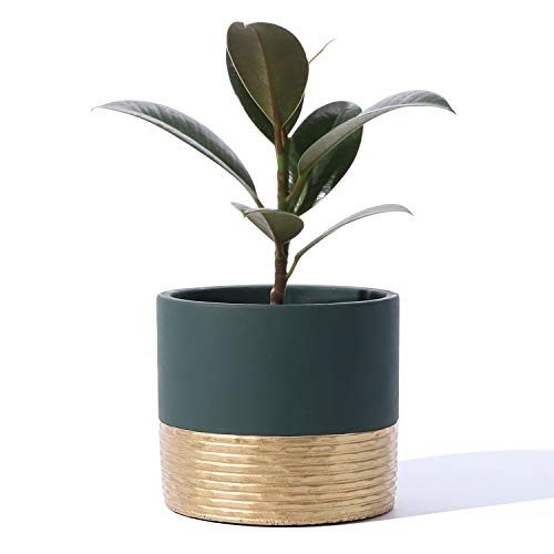 Potey Cement Planters Pots For Plants Indoor - 5 Inch Concrete Succulent Flowerpot Bonsai Container With Drainage Holes 5549Dg, Set Of 2, Plant Not Included #TOP6