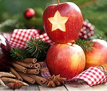 Sélection de graines d'arbres bonsaï nains Fruits délicieux dans votre jardin Fruits bonsaï à croissance facile Livraison gratuite Paquet de 500 graines