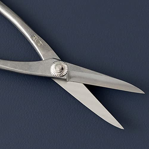 Ciseaux pour Élagage Satsuki de 180 mm pour réussir la taille de structure