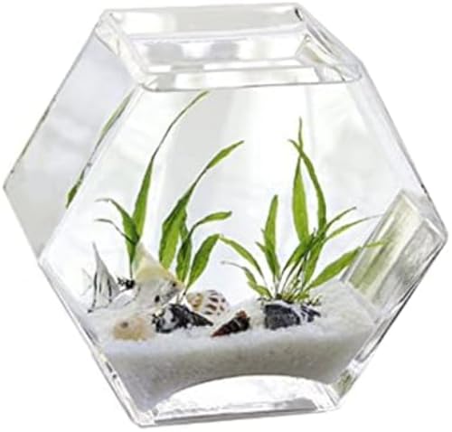 GEBYUI KXZp`~jb/?/Mы + ۋʖ~ + ͔|p bCeAԕr@\ p ƒpnӊϏܗe?