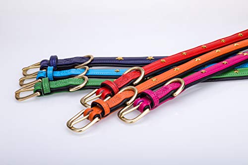 Collier pour chien en cuir rose contre les irritations de cou - 5