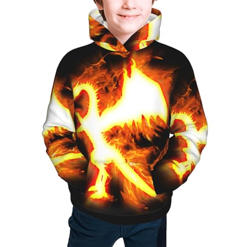 Red Flame Dragon Boy, Girls Sports Shirt Youth Pullover Fashion Hooded Sweatshirt