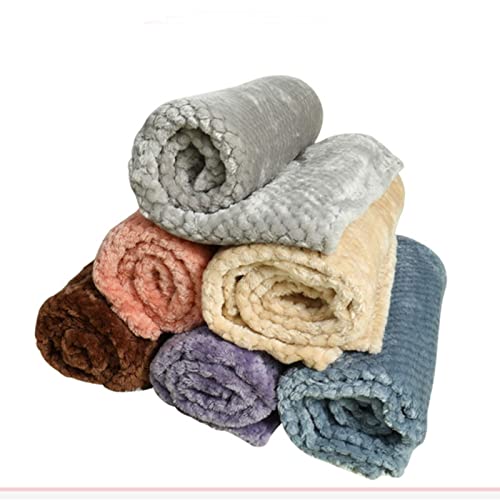 Couverture pour chien moelleuse pour protéger votre canapé 80x60