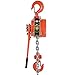 Mophorn Polipasto de Cadena Manual 3000kg 1.5m Incluido con Cable de Acero...