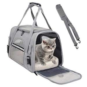 Transporttasche Katze,5 kg Faltbare Transportbox Katze mit Schulterriemen,Katzentransportbox Hunde Katzen Transportboxen,katzentransporttasche,Katzen Tragetasche für Katzen, kleine Hunde Grau,M