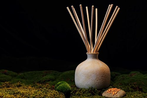 BLUEME-Bundle-Romance-Oakmoss-Sandalwood-1691-Fl-Oz-Wellness-Diffuser-Oil-Refill-Contains-Essential-Oil-Sustainable-Hand-Finished-Premium-Luxury-Ceramic-Natural-Rattan-Reeds BLUEME Bundle Romance Oakmoss Sandalwood 1691 Fl Oz Wellness Diffuser Oil Refill Contains Essential Oil Sustainable Hand Finished Premium Luxury Ceramic Natural Rattan Reeds