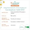 PURESSENTIEL HUILE ESSENTIELLE Eucalyptus Radie BIO (10 ml)