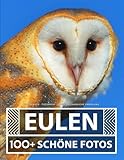  Eulen Buch - Fotobuch - Große Erstaunliche Sammlung: 100 Wunderschöne Bildern - Für Kinder und Erwachsene