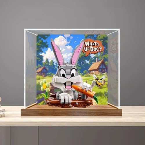 Vitrina acrílica para modelo Le-go 40920 de...