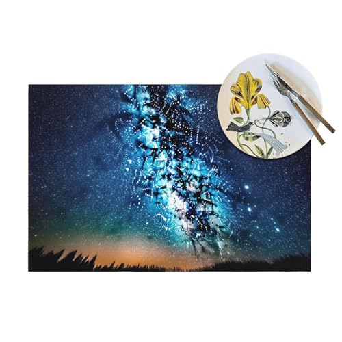 Napperons tissés en PVC 45x30 cm lavables pour table - 7