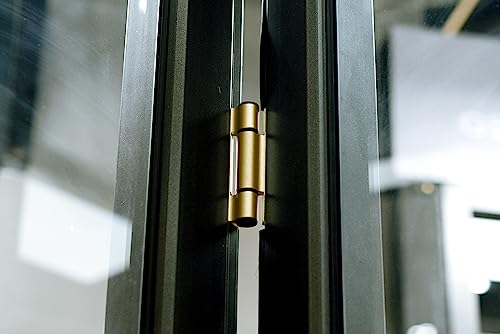 Image of Richelieu Hardware 51821BR Onward Full Mortise Adjustable Spring Hinge, 3-1 /2 in (88.9 mm), Brass