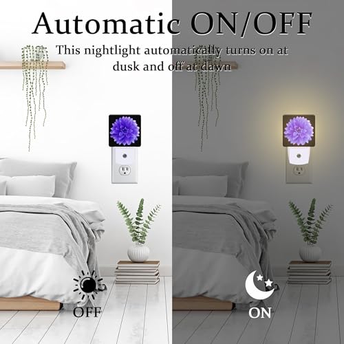 Image of Purple Dahlia Flower Night Light for Kids, Abstract Blooming Floral Night Light Plug in with Dusk to Dawn Sensor, 0.5w Energy Saving Sleep Friendly Nightlight for Hallway Stairway Kitchen Bedroom