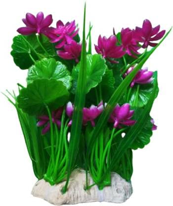 Kapoor pets™ Aquarium Decoration Plant for Fish Tank Aquatic Fish Tank Ornament Purple Aquarium Plant Anchor ((Plant Anchors1) (B0995QJ3FQ) Amazon Price History, Amazon Price Tracker