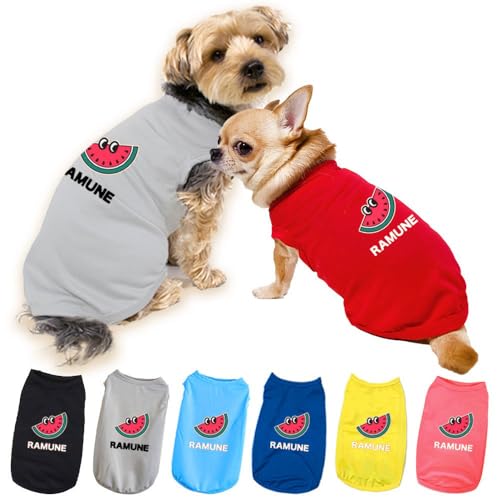    SPIRAL-style ꃁbV^N XCJ 3XL ubN ^ ^ ^ ~ t    ₷  킢 uh Z[ U