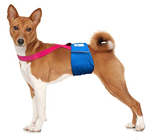 Image of PAW Inspired Dog Diaper Suspenders, Pink, Small /Medium | Small /Medium, Stretchy Adjustable Straps, Velcro Closures, For Female and Male Disposable and Washable Diapers