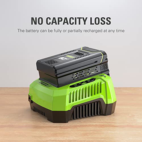 Image of Greenworks PRO 80V 2.5Ah Lithium-Ion Battery (Genuine Greenworks Battery / 75+ Compatible Tools)