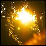 Soleil Caché