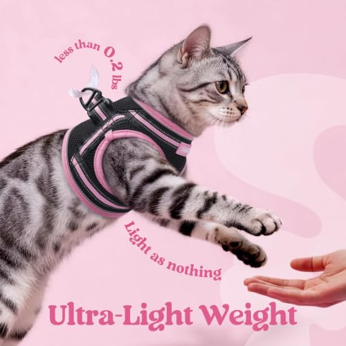 Image of rabbitgoo Cat Harness and Leash Set, Step-in Soft Vest, S, Black & Pink | Escape Proof, Lightweight Air Mesh, Easy-on, Adjustable, Hook & Loop with Buckle, Reflective, for Kittens & Tiny Cats Walks