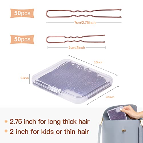 Ikoco Hair Pins For Women, Ikoco 2 Inch And 2.75 Inch Hair Pins For Buns Brown U Shaped Hair Pins With Storage Box thumb #1