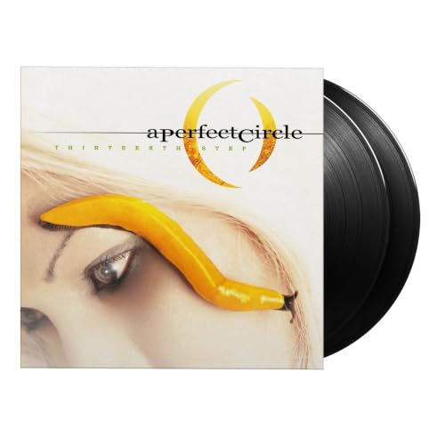 Thirteenth Step/Vinyle Noir Audiophile 180gr