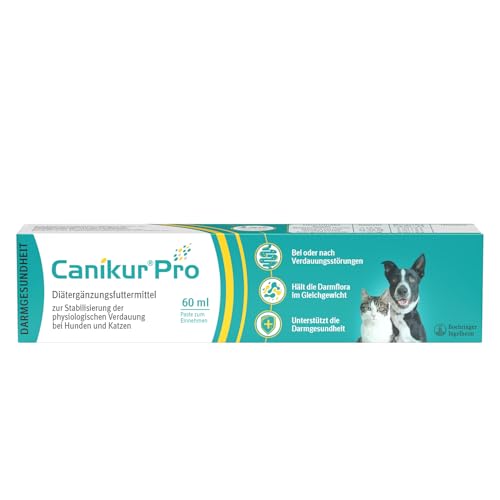 Canikur Pro Seringue à pâte Transparent 60 ML
