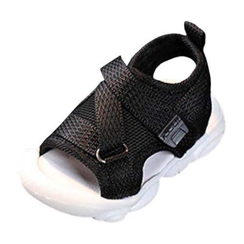 [TXWZM] T_ q j̎q 22 ̎q T_ 22 LbYV[Y  qC xr[V[Y ԂC  xr[Xj[J[ ~ lC O  r[` AEghA {[CY K[Y ʉ ʊw jp 