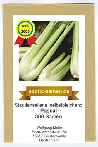 Was Ist Der Unterschied Zwischen Bleichsellerie Und Staudensellerie Sellerie: Knollen-, Schnitt- & Staudensellerie unterscheiden