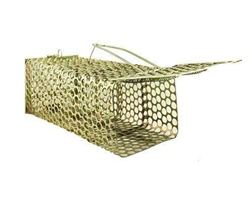 1 pc Medium Size Rat/Mouse/Rodent Trap Cage (1)-image-26