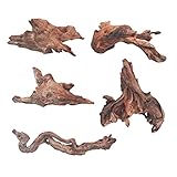 FUNOJOY Natural Driftwood Decor for Aquarium Decorations Reptile Tank Accessories, Assorted Wood Branches Decorations on Reptile Fish Tank 2-10' 2 Pcs/4 Pcs/ 5 Pcs/ 6 Pcs (Pack of 5 (3.9 to 6 Inch))