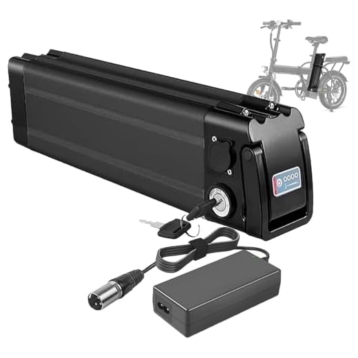 Batterie De Vélo Électrique 24V 8Ah 10Ah 12,5Ah 18Ah 19,2Ah Batterie Ebike pour Moteurs 29.4V 150W 250W 350W – Lithium-ION Battery 24V 8Ah