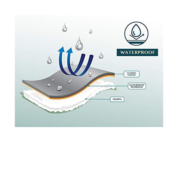 PAVILIA Waterproof Blanket for Couch, Sofa | Waterproof Dog Blanket for Large Dog, Puppy, Cat | Pet Blanket Protector | Plush Soft Warm Fuzzy Sherpa Blanket Bed Throw, Dark Grey, 60×80 PAVILIA Waterproof Blanket for Couch, Sofa | Waterproof Dog Blanket for Large Dog, Puppy, Cat | Pet Blanket Protector | Plush Soft Warm Fuzzy Sherpa Blanket Bed Throw, Dark Grey, 60×80