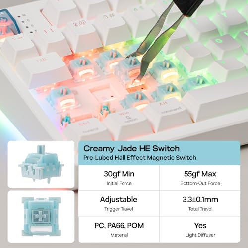 Image of EPOMAKER HE108 Wireless Gaming Keyboard, 8K Polling & 10000mAh, SOCD & DKS, Full-Sized Hall Effect Keyboard with Rapid Triggering, Custom Driver, RGB Backlit, PBT Keycap (White)