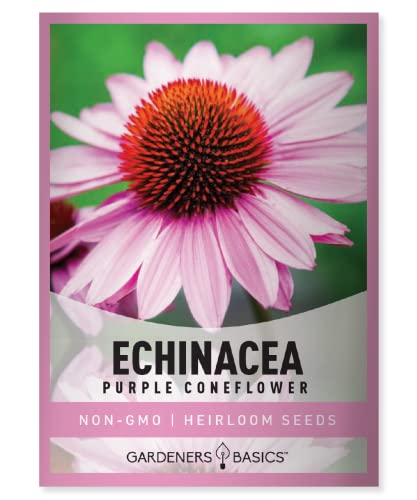 Purple Coneflower Seeds Echinacea Seeds for Planting - Non-GMO, Open Pollinated Beautiful Echinacea Plant Seeds Great for Herbal Tea Gardens and Medicinal Herbs by Gardeners Basics