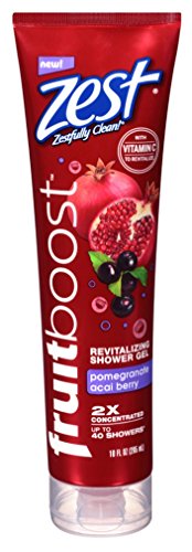 Zest Fruit Boost Shower Gel Pomgrante Acai Berry 10 Ounce Tube (295ml) (6 Pack)