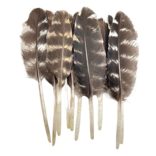Natürliche Pfau-Fasan-Feder-Straußen-Truthahn-Federn für Handarbeiten Kopfschmuck Handwerk Dekor-Zubehör-China,5-10cm,100St
