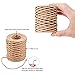 PH PandaHall 164 Feet 21 Gauge Floral Bind Wire Wrap Twine 2mm Paper Covered Rustic Vine Gardening Paper Wrapped Wire Craft Wire for Art Craft Flower Bouquets Floral Wrapping Gardening, Brown