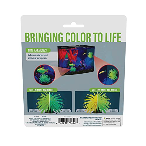 Image of GloFish Detailed Aquarium Ornaments, Creates A Glowing Effect