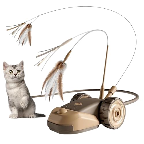 LUAMY dL炵 | ^b`쓮 ht,LJ[L炵,qL̎V ^ Lx P ދh~ ybgpi