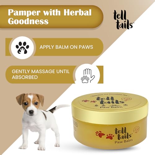 Image of Tell Tails Paw Cream for Dogs - 50g Pack of 2 - Hydrates, Protects & Heals Cracked Paws - Vitamin E, Candelilla Wax, Sea Buckthorn & Mint Oil - Restores Moisture & Shine - for Labrador & All Breeds