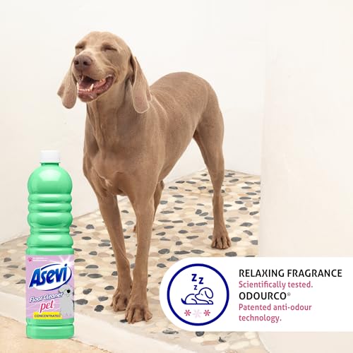 Asevi Concentrated Pet-Friendly Floor Cleaner Liquid 1L - Image 4