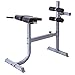 CAP Strength Roman Chair, Gray