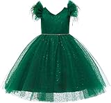 Weileenice Emerald Green Flower Big Girls Formal Dress 10-11 Junior Girl Bridesmaid Wedding Birthday Party Fairy Dresses Teen Sequins Feather Tulle Tutu Mesh Ball Gown Holiday Dance Evening Reception